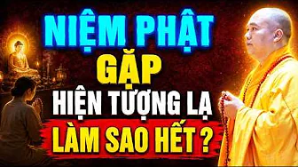 KHI NIỆM PHẬT GẶP HIỆN TƯỢNG LẠ ĐỪNG HOẢNG SỢ, LÀM CÁCH NÀY SẼ HẾT | Thầy Thích Đạo Thịnh