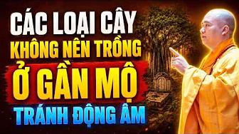 LOẠI CÂY KHÔNG NÊN TRỒNG Ở GẦN MỘ TRÁNH ĐỘNG ÂM | Thầy Thích Đạo Thịnh