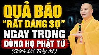 QUẢ BÁO Rất Đáng Sợ, CÓ THẬT 100% Trong Dòng Họ Phật Tử (chính Thầy kể lại) | TT. Thích Đạo Thịnh