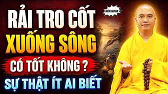 RẢI TRO CỐT XUỐNG SÔNG CÓ TỐT KHÔNG ? SỰ THẬT ÍT AI BIẾT | Thầy Thích Đạo Thịnh
