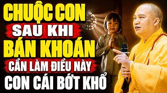 Ai CHUỘC CON Sau Khi BÁN KHOÁN Vào Chùa, CẦN LÀM ĐIỀU NÀY Con Cái Bớt Khổ, Gia Đình Bình An !