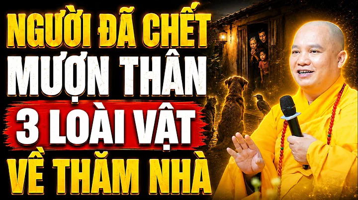 Người Đã Chết Mượn Thân 3 Loại Vật Này Về Thăm Nhà – Sự Thật Tâm Linh Ít Người Biết | Thầy Đạo Thịnh