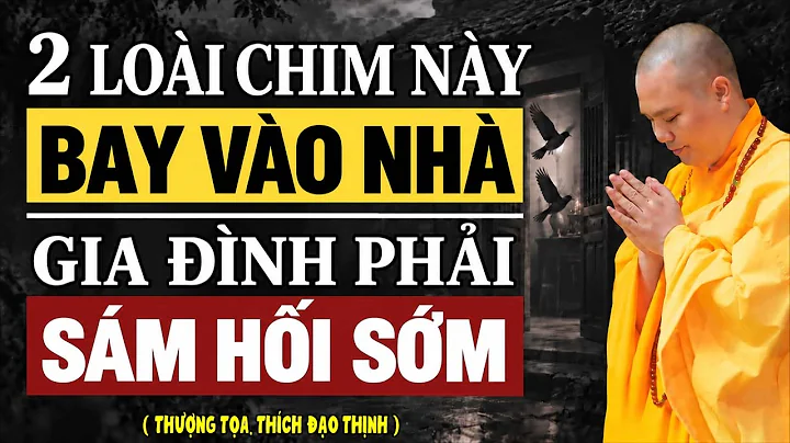 2 LOÀI CHIM NÀY BAY VÀO NHÀ, GIA ĐÌNH PHẢI SÁM HỐI SỚM | Thầy Thích Đạo Thịnh