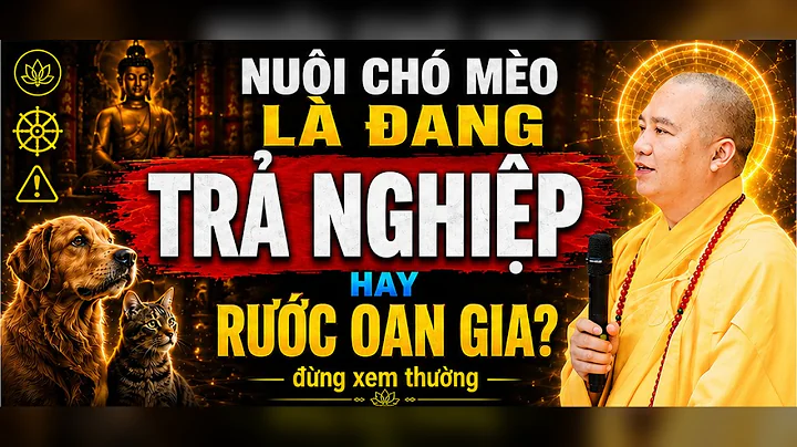 Nuôi Chó Mèo Là Đang Trả Nghiệp Hay Rước Oan Gia -  Đừng Xem Thường Chó Mèo Bên Cạnh Bạn