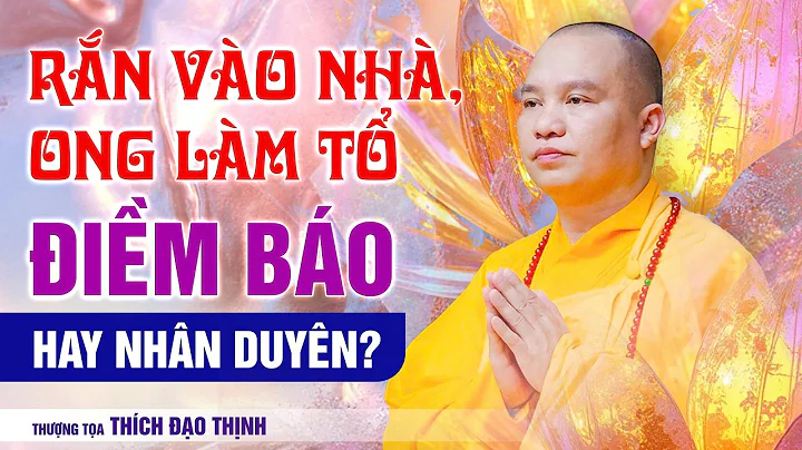 Rắn Vào Nhà, Ong Làm Tổ Điềm Báo Hay Nhân Duyên? | Thầy Thích Đạo Thịnh