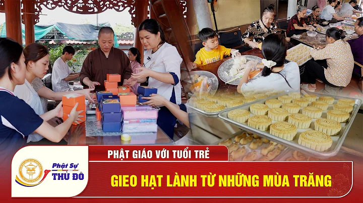 Phật Giáo Với Tuổi Trẻ: Gieo Hạt Lành Từ Những Mùa Trăng│ Phật Sự Thủ Đô