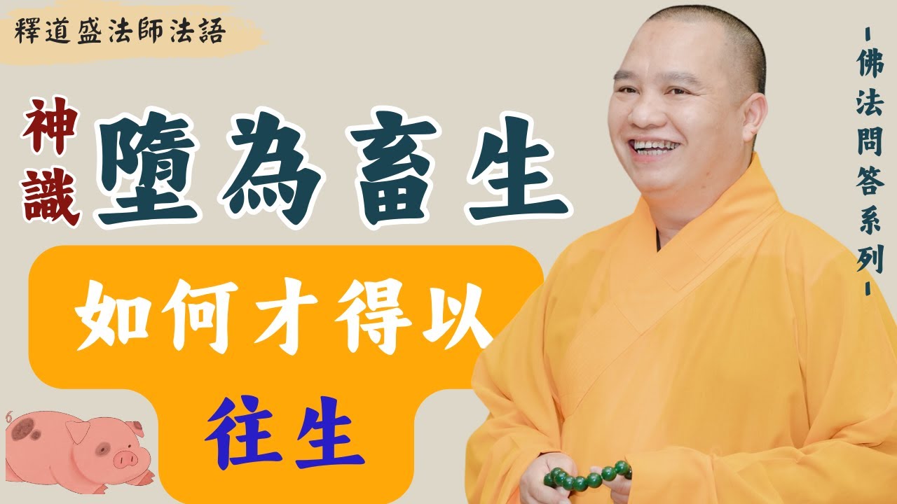 Shén shí duò wèi chùshēng, rúhé cái déyǐ wǎngshēng?,Shì dào shèng fǎshī fǎyǔ, [fǎshī fǎyǔ]