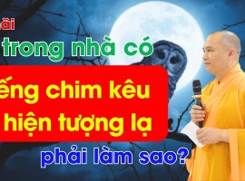 Buông Một Chút | Nhạc Phật Giáo Thư Giãn