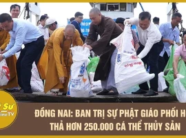 Dong Nai: Buddhist Executive Committee partners to release over 250,000 aquatic animals